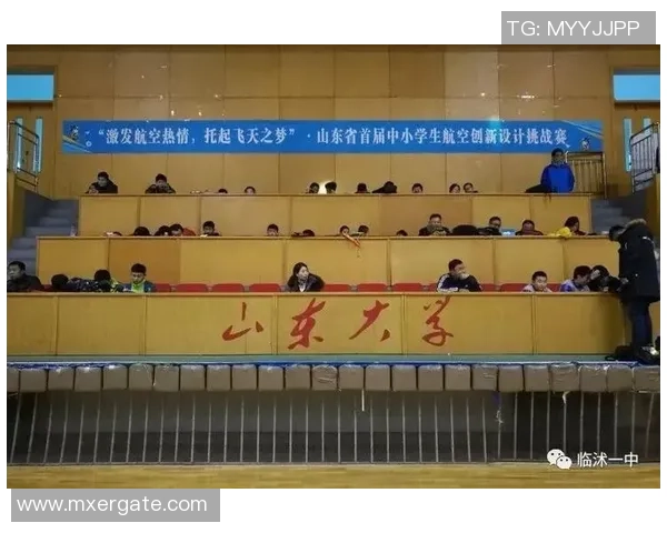 临沭足球崛起之路探索地方足球发展与青训体系的创新与挑战